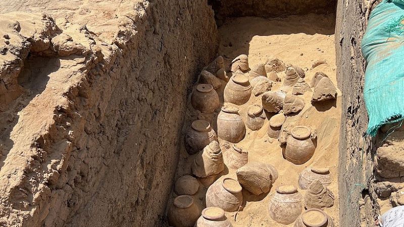 ვინ იყო ქალი, რომლის სამარხშიც 5000 წლის წინანდელი ღვინო აღმოაჩინეს